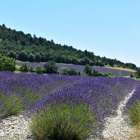 Le Village - 2